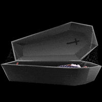 Waking Up Funeral GIF