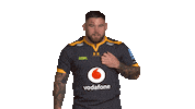 Rugby Sticker by Wasps