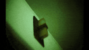 Sub Pop Toronto GIF by Sub Pop Records