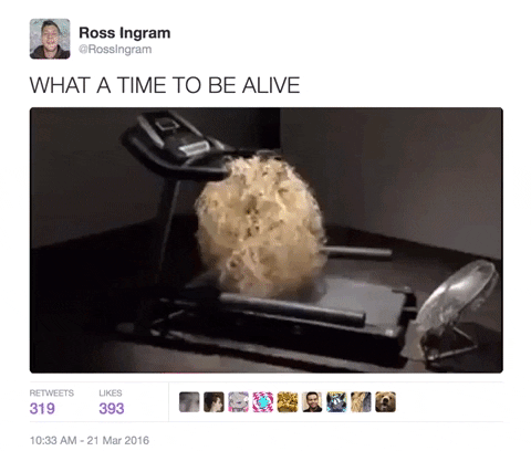 zaratan giphyupload GIF