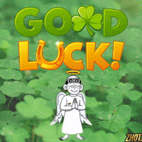 Boa Sorte Good Luck GIF by Zhot