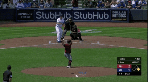megrowler giphyupload GIF