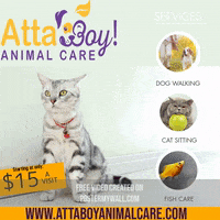 AttaBoyAnimalCare cat dog fish dogwalker GIF