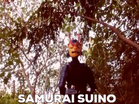 iriodejesussilveira giphygifmaker tokusatsu GIF