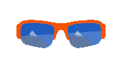 Sunglasses Speed Sticker by Apollo Optik