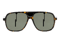 apollooptik_deutschland sunglasses sonnenbrille apollooptik gifitatry Sticker
