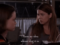 season 4 netflix GIF by Gilmore Girls 