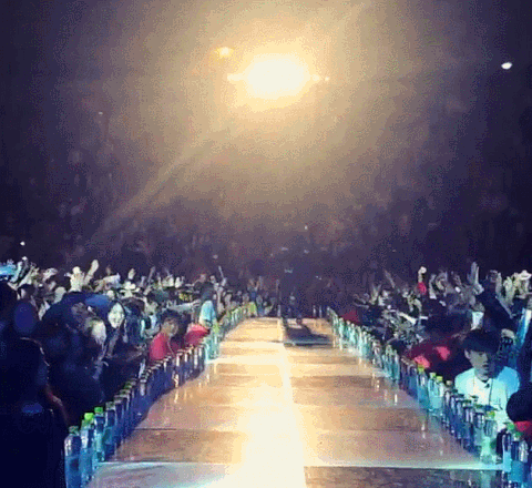 concerts GIF