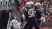 Football Celebration GIF by New England Patriots