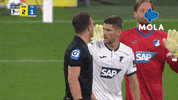 Football Bundesliga GIF by MolaTV