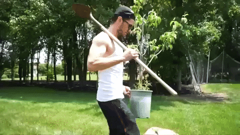 Vlog Planting A Tree GIF by StyleHaul
