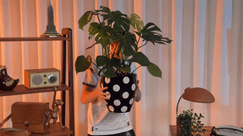 Esports GIF by BLAST