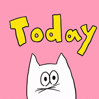 White Cat Love GIF by Gunmaunofficial