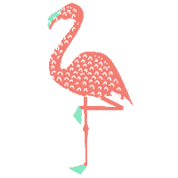 Summer Flamingo Sticker by Turisme Amposta