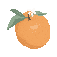 Orange Citrus Sticker by Kyte Baby