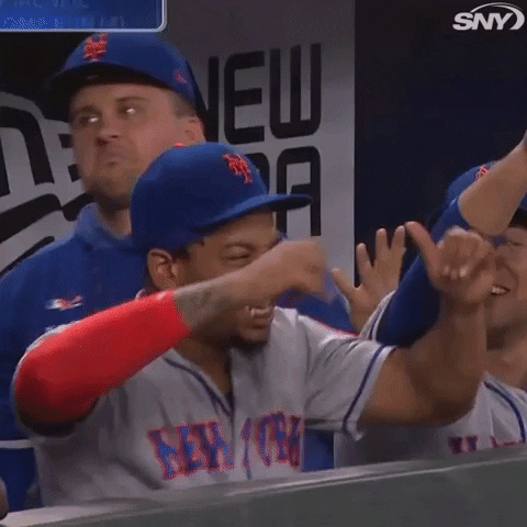 new york mets GIF by SNY