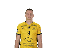 Volleyball Sticker by PGE GiEK Skra Bełchatów