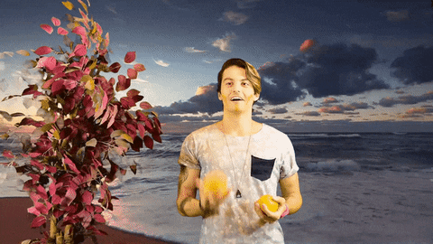 upngomusic giphyupload upngo upngomusic GIF