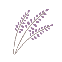 Flower Bb Sticker by BenandBart
