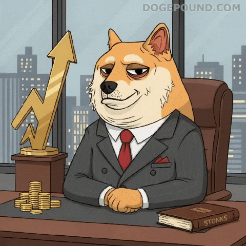 Shiba Inu Money GIF by Doge Pound