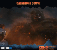 GIF by HBO India