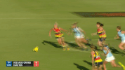phillips GIF by Adelaide Crows