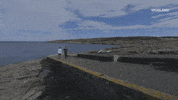 viceland GIF by ABANDONED