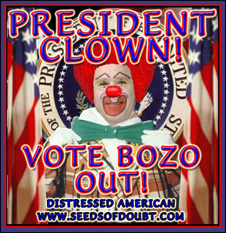 president GIF
