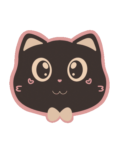jiggleduo giphyupload kitten sideeye tuxedocat Sticker