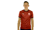 Ceskarepre Sticker by 2score