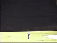 hlptv david nate hlptv loose meat GIF