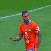 clubamerica club america GIF