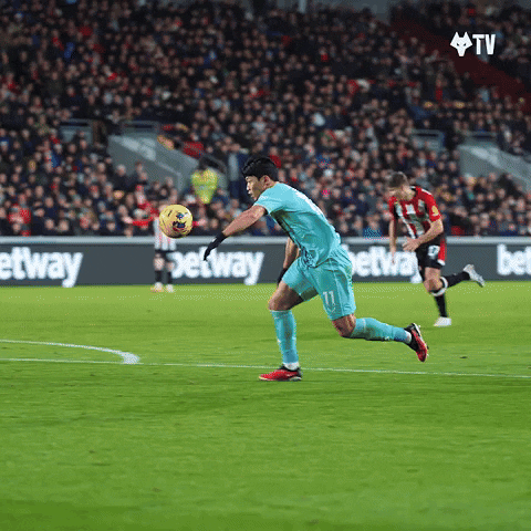 Premier League Football GIF by Wolves