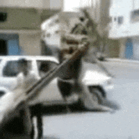 donkey fail GIF