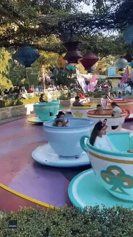 Cardi B's Security Guard Stays Focused While Riding Disneyland Teacup Ride