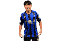 Football Sticker by Incheon United FC