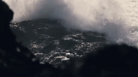 GIF by Travel Oregon
