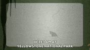 national park slide GIF by South Park 