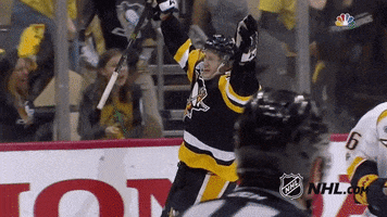 Ice Hockey GIF by NHL
