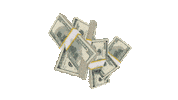 Money Cash Sticker