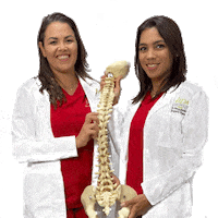 Spine Chiropractor Sticker by VidaChiro