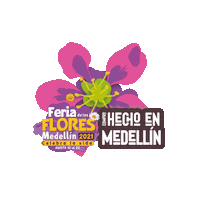 Medellin Sticker by Alcaldía de Medellín