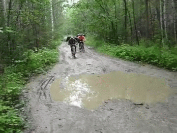 synchronization GIF by Cheezburger