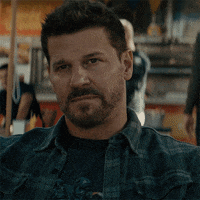 Sealteam Davidboreanaz GIF by Paramount+
