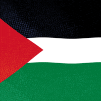 Human Rights Israel GIF by INTO ACTION