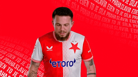 Football Celebration GIF by SK Slavia Praha