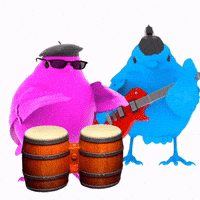 Brrd GIF