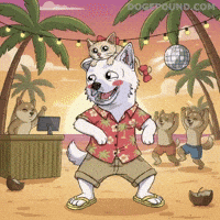 Happy Shiba Inu GIF by Doge Pound