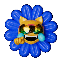 Mogged Cat Stickers - Find & Share on GIPHY