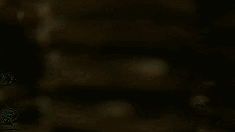 ivanstur giphyupload GIF